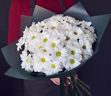 Букет цветов из:  Хризантемы #REPLACE_PRED# Судниково